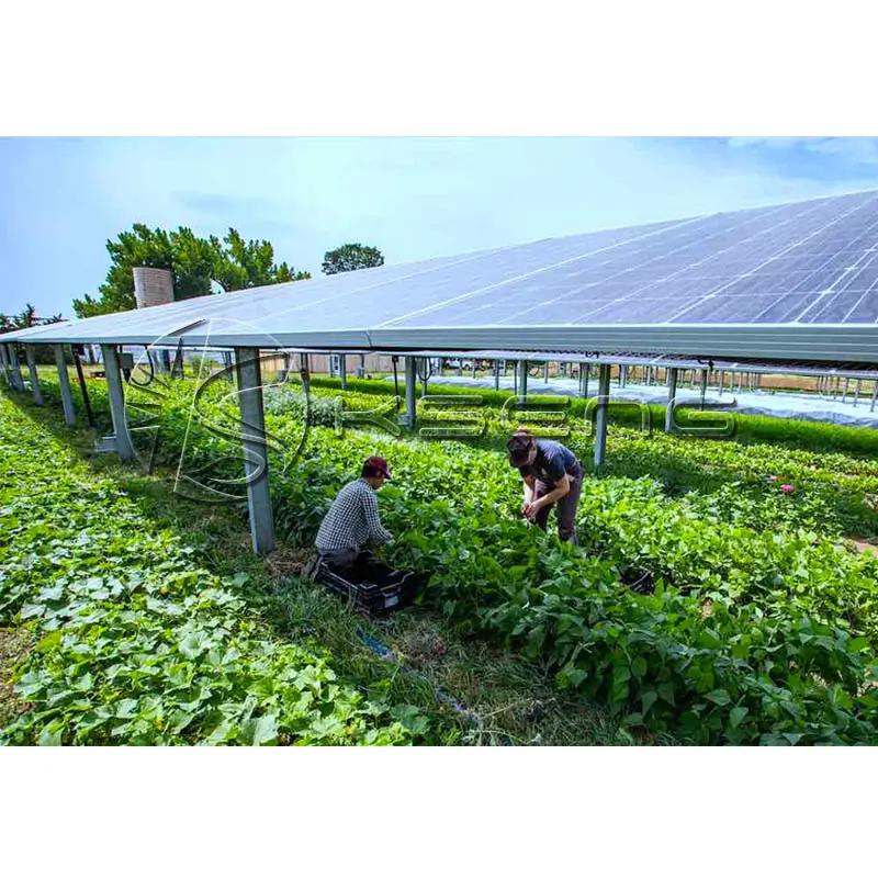 Solar Agriculture PV Mounting Bracket Photovoltaic Greenhouse and Agricultural Mounting System Solar Farm